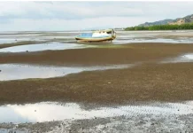 Hasil Tangkapan Ikan Nelayan Belu Menurun