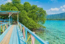 Titian Mangrove Pesinghong Jadi Pilihan Wisata saat Jenuh di Rumah