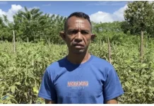 Ketersedian Pupuk Masih Menjadi Persoalan dalam Sektor Pertanian di Belu