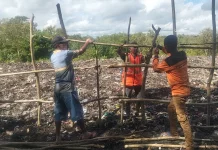 DLH Pagari TPA Liar Tublopo dengan Kayu Gamal