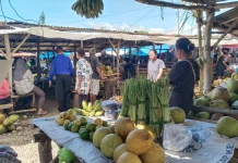 Warga Atambua Sabtu Minggu ke Pasar Berburu Kelapa Muda untuk Konsumsi