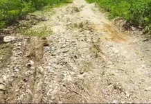 Jalan Rusak Masuk Dusun Warga Korbau Belu Pertanyaan Perhatian Pemerintah