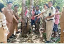 Pertanahan Belu Gelar Sidang Pemeriksaan Tanah di Umanen