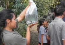 Sebanyak 50 Warga Tunbakun Diberi Bibit Ikan Lele