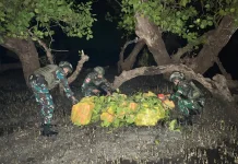 Yonarmed 12 Kostrad Gagalkan Penyelundupan 50 Krat Minuman Berpemanis