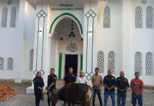 KSP BAM Salurkan Hewan Kurban untuk Jamaah Masjid Al-Ansar Hulnani jelang Idul Adha