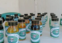 Produk Minyak Kemiri Alor Butuh Proses Panjang