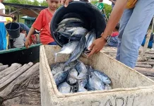 Cuaca Buruk, Nelayan di Tambak Umum Kletek, Malaka Tetap Melaut