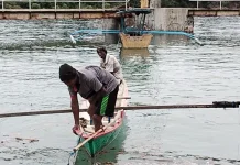 Nelayan Belu Menjaring Ikan ke Perairan Alor Berhitung Cermat Biaya BBM