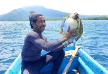 Sampah Plastik Ancam Kehidupan Penyu di NTT