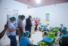Wagub NTT Kunjungi SPPG Atambua Barat