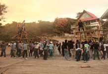Potensi Bambu sebagai Material Konstruksi Ramah Lingkungan