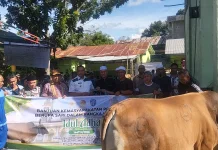 Hewan Kurban Presiden Prabowo Diserahkan Bupati TTU ke Masjid Nurul Falah Kefamen