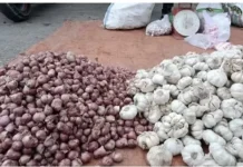 Harga Bawang Tembus Rp.40.000 Per Kilo Gram Daya Beli Masyarakat di Belu Menurun