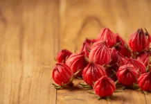 Mengulik Keunikan di Balik Keindahan Kelopak Bunga Rosela