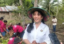 Hasil Panen Perdana KWT Nekmese Terserap 100 Persen ke SPPG Kefa Selatan