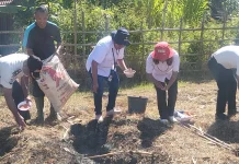 Lapas Kelas IIB Kefamenanu Dukung Ketahanan Pangan Tanam Jagung 1 Hektar dan Berda