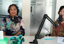 Analisis Capaian Pelayanan Kesehatan Puskesmas Umanen 2026