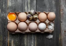 Rahasia Memilih Telur Terbaik untuk Kesehatan Optimal Anda