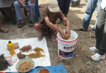 Petani Sayur di Kefamenanu Utara Dilatih Membuat Pestisida Nabati dan NPK Cair