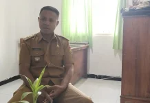 Kelurahan Tulamalae Belu Permohonan Unit Rumah Bantuan Sebanyak 80 Unit