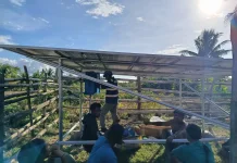 Tenaga Surya Dukung Ketahanan Pangan Nasional