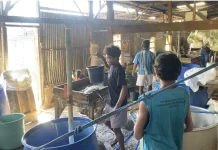 Harga Kacang Kedelai di Belu Mahal,  Pelaku Usaha Tempe Tahu Menjerit