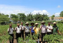 Kolaborasi Pertanian Tingkatkan Produktivitas Rutan