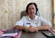 Persiapan Festival Fulan Fehan 2026 Hampir Rampung