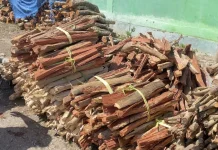 Minyak Tanah Langka dan Gas Mahal, Penjual Kayu Bakar Raup Keuntungan