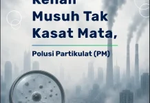 Kenali Bahaya partikulat Udara Bagi Kesehatan Kita