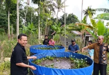 Pemerintah Daerah Dorong Pemanfaatan Curah Hujan