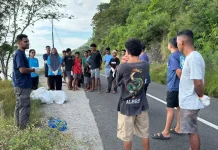 Nautika Dive Alor Jaga Lingkungan lewat Pariwisata
