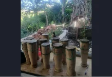 Tihar Belu Tembus Pasar Internasional