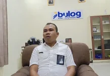 Bulog Kalabahi Perkuat Pemantauan Harga Pangan Demi Menjaga Stabilitas Pasar