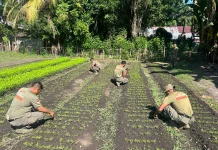 Brimb Alor Kelola Lahan Produktif Dukung Ketahanan Pangan di Moru