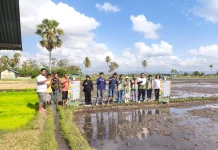 Petani Didorong Terapkan Sistem Ramah Lingkungan