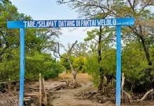 Pengembangan Pantai Welolo Diharapkan Tingkatkan Pariwisata dan Ekonomi