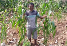 Strategi Mengatasi Keterbatasan Usaha Perkebunan di Kabupaten Alor