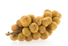 Pesona Pohon Kosambi, Multiguna Penopang Kehidupan Alam