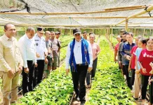 Mentan RI Dorong Pertanian Alor Jadi Strategi Pengentasan Kemiskinan