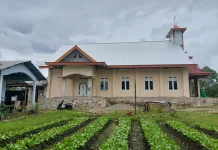 Dari Mimbar Gereja ke Lahan Kembangkan Pertanian