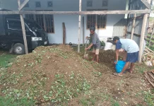 Hal Penting Bagi Kesehatan Lingkungan dan Masa Depan