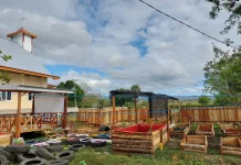 Integrasi Kandang, Kolam, Kebun Jadi Sistem Pertanian Terpadu