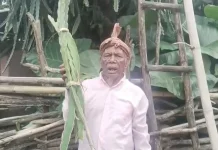 Petani Desa Leosama Peroleh Pendapatan Ekonomi Keluarga Budidaya Buah Naga