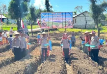 Dukung Swasembada Pangan Kapolres TTU Tanam Bawang Putih di Desa Lemon