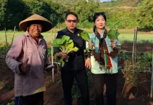 Sektor Pertanian Alor Terus Diperkuat melalui Peningkatan Produksi