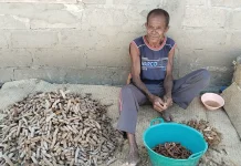 Tuntutan Hidup Warga Tani di Belu Berjualan Asam Peroleh Tambahan Pendapatan