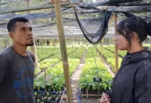 Anak Muda Diajak Melihat Pertanian Sebagai Peluang Usaha Masa Depan