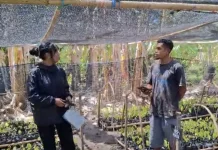 Kelompok Kakao Fanating Harapkan Pendampingan Penyuluh untuk Perkembangan